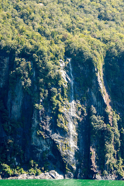 Milford's Verdant Veil