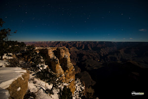 Starry Night Over the Grand Canyon