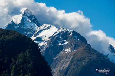 Milford Sound's Sentinel