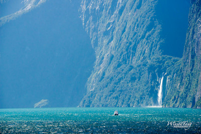 Milford Sound's Majestic Presence