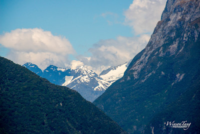 Milford Sound's Majesty Unveiled