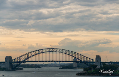 Sydney's Steel Silhouette