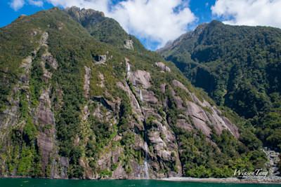 Milford Sound's Vertical Garden