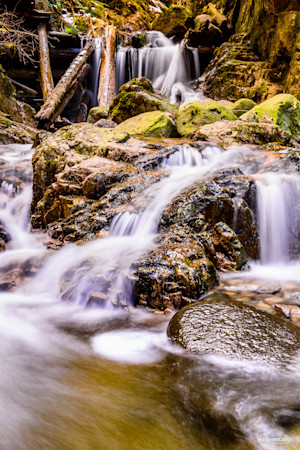 Mosquito Creek Cascades