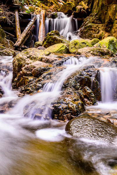 Mosquito Creek Cascades