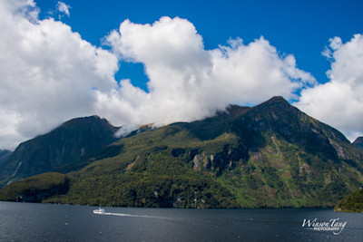 Doubtful Sound Serenity