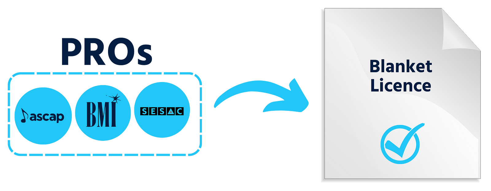 what are PRO licences?