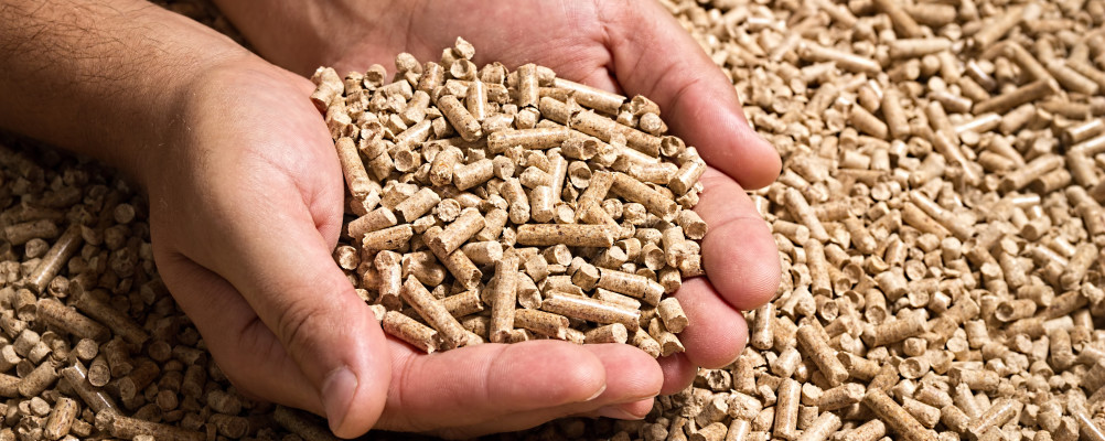 iStock biomassa biomass biobrandstof brandstof energie energy