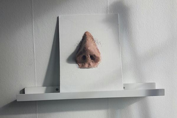 nose