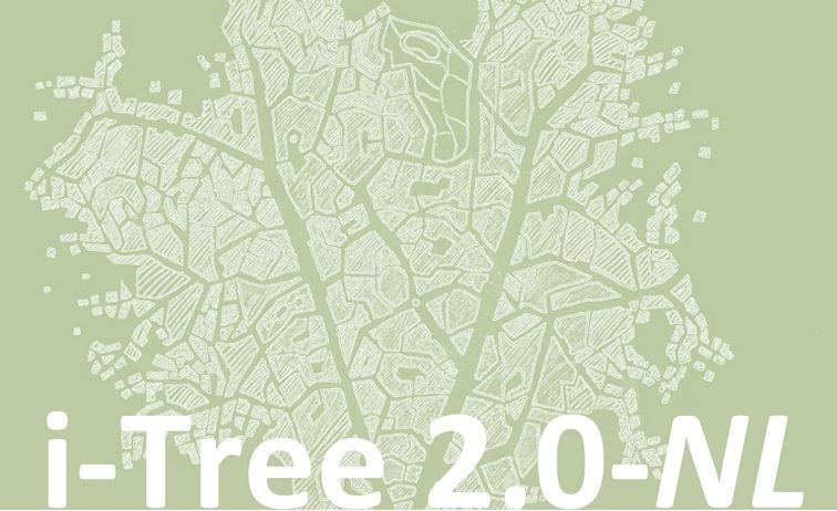 i-Tree - CLICKNL