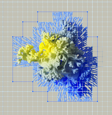 3d printen koraal