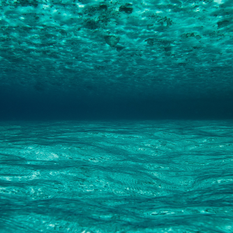 Zee onder water