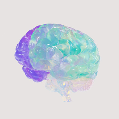 brain