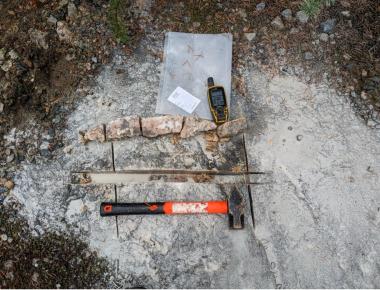 Twelve New Pegmatites sampled at St. Denis Lithium