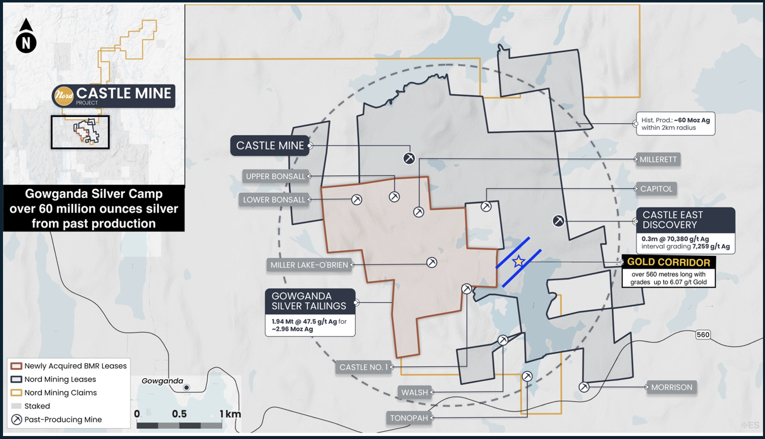 Castle Surface Gold Trend Confirmed to 560 Metres Long Within the High-Grade Silver Mineralization Zones 