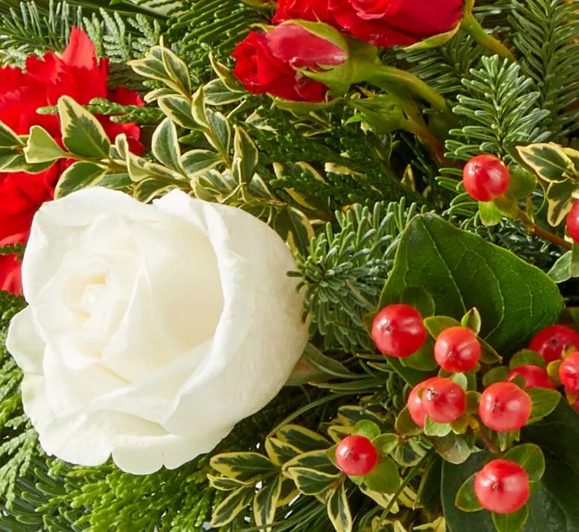 2025 Christmas Collection Christmas Delivery FTD