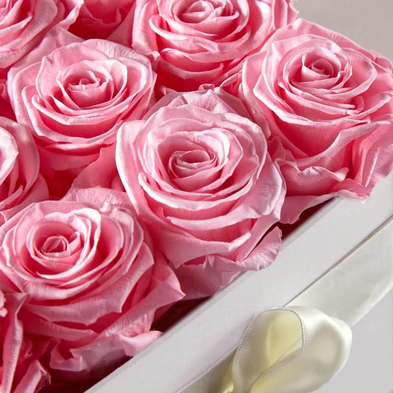 Roses Collection: Shop Roses By Type & Color | FTD