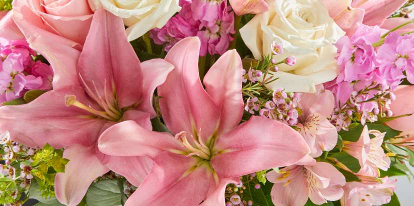 FTD-Merx-HPorCLP-OverlayHero-