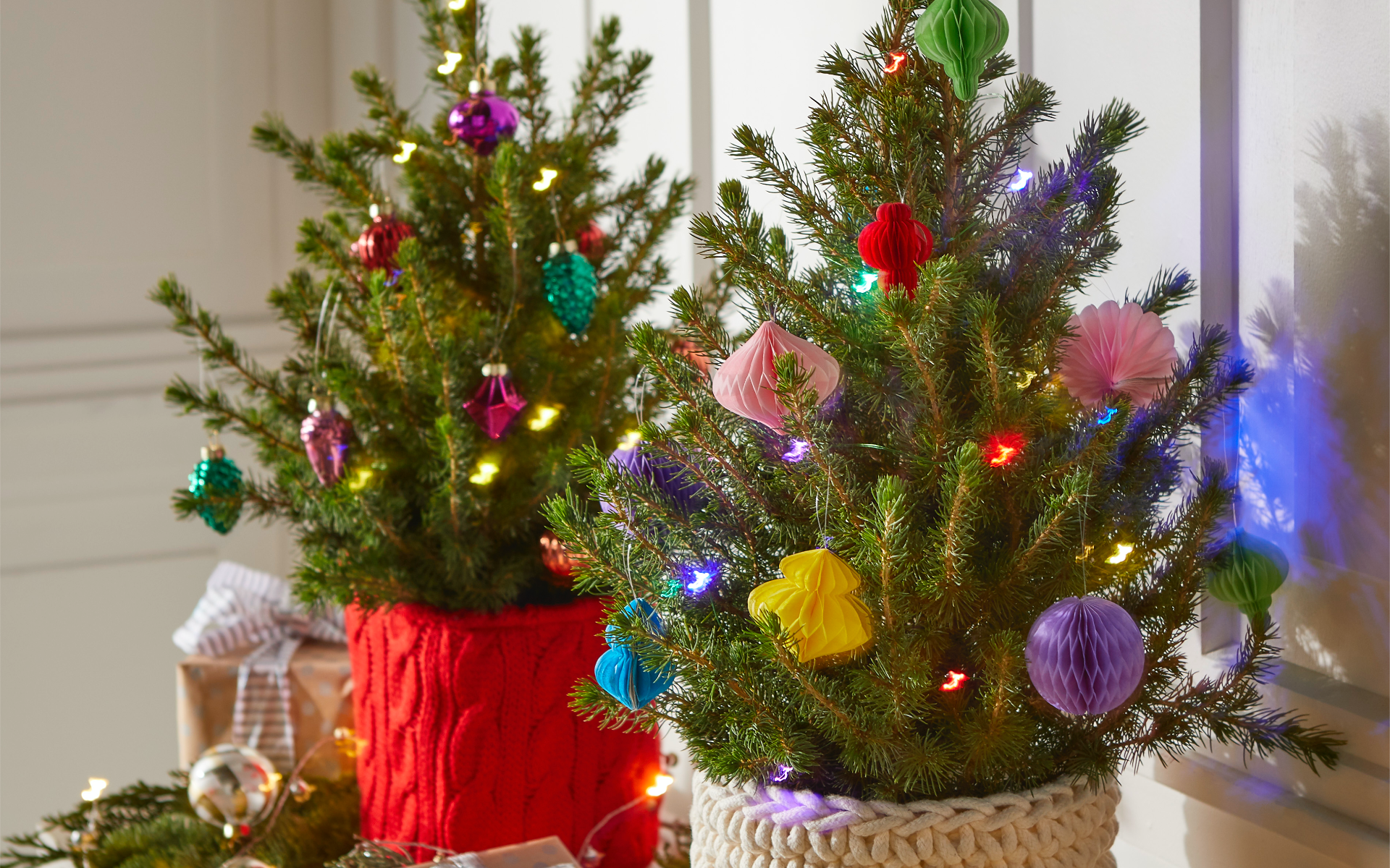 Image of mini Christmas trees