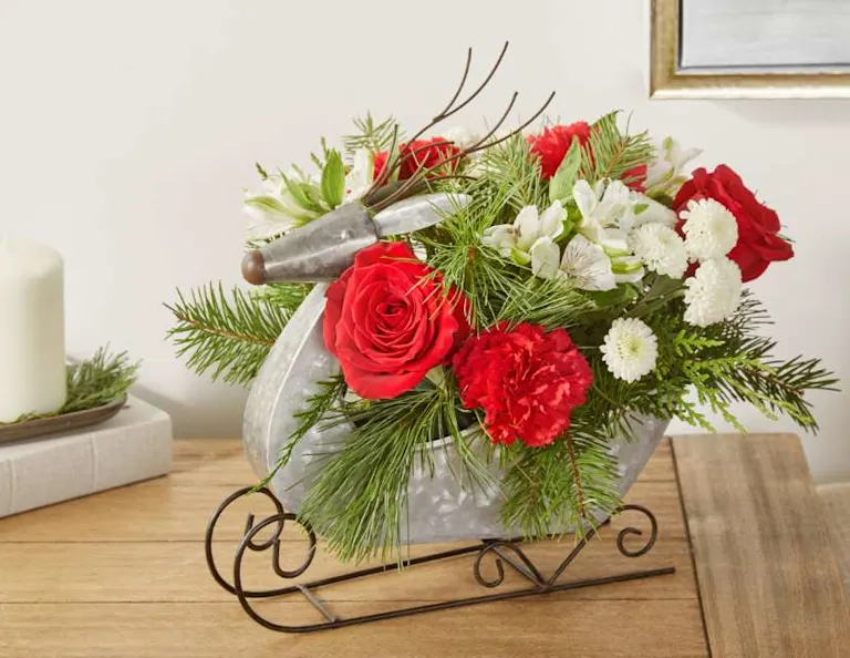 2024 Christmas Collection Christmas Delivery FTD