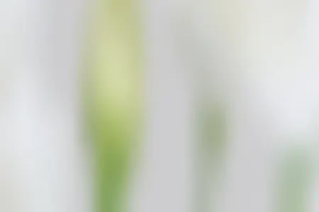 Celebrate Winter Birthdays