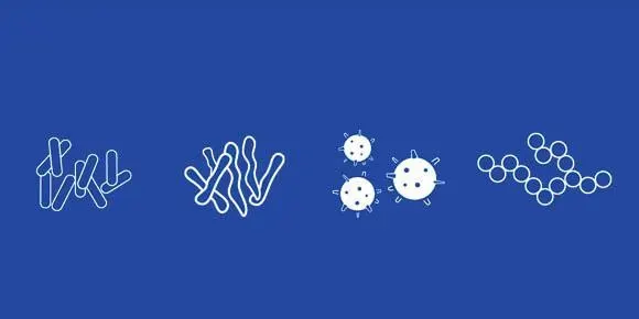 the four categories of germs-banner