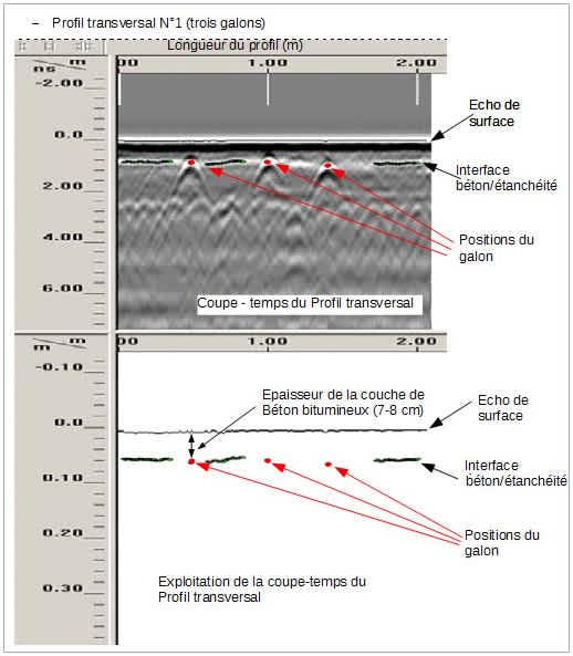 Schema Echo Detect