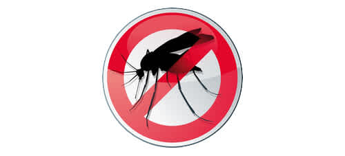 Logo anti-moustique