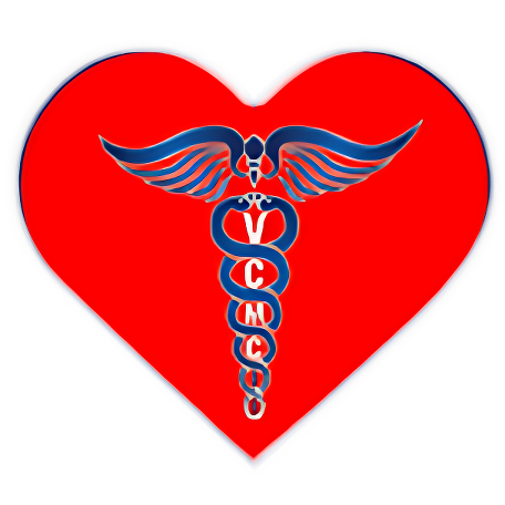 Valley College of Medical Careers College Logo