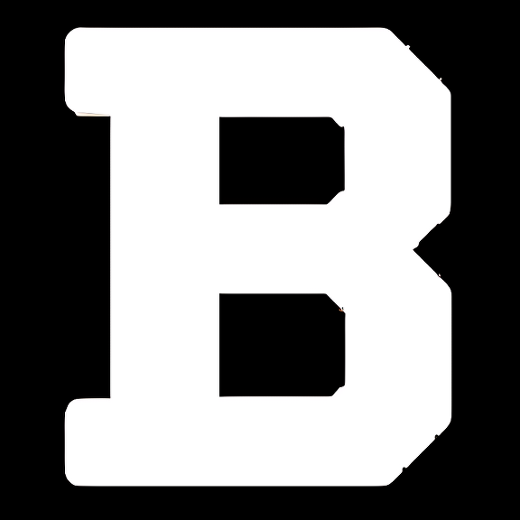 Bowdoin College College Logo