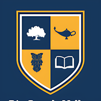 Rio Grande Valley College College Logo