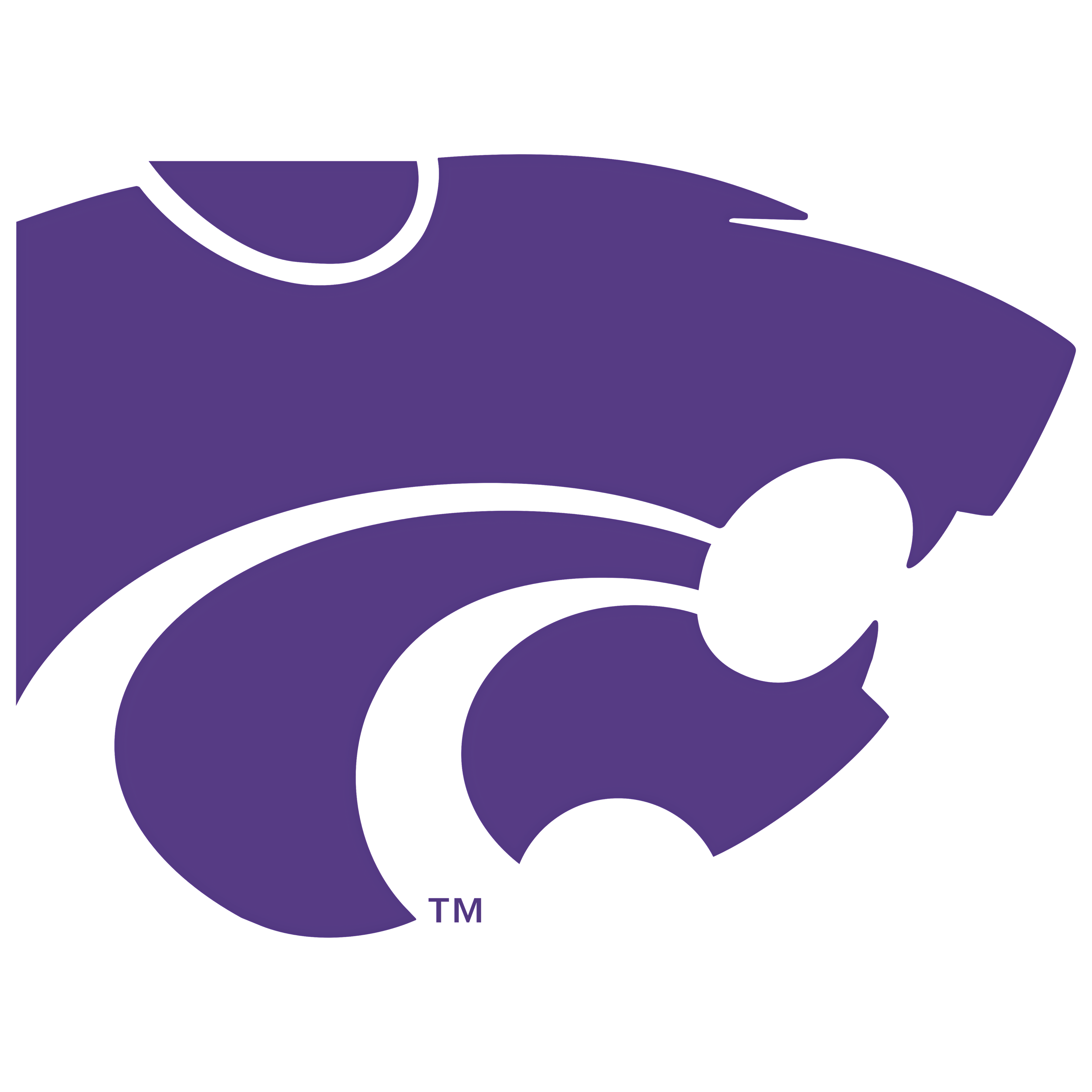 Kansas State University (K-State) College Logo