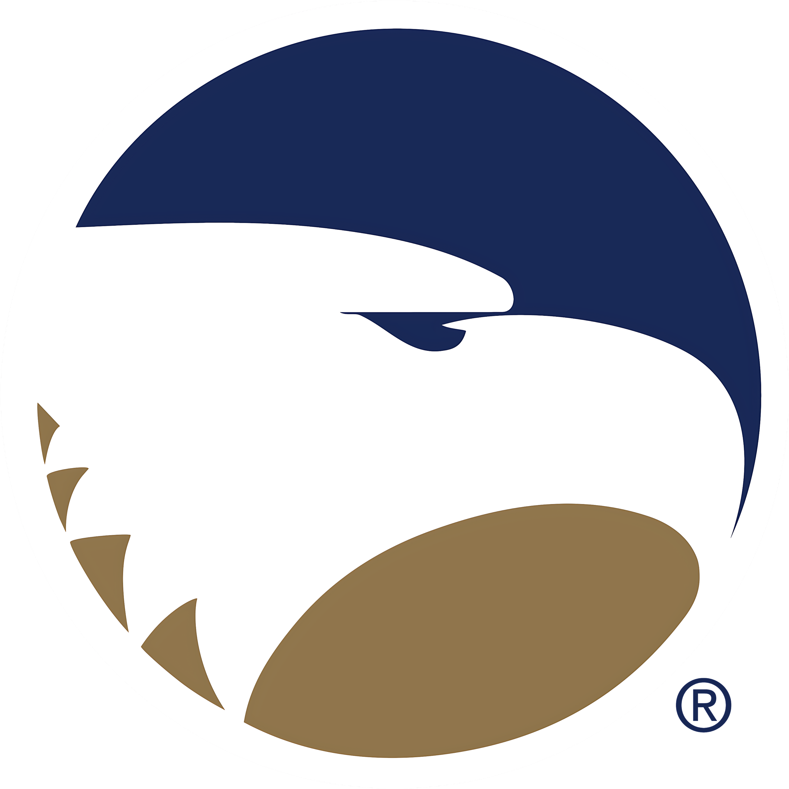 Georgia Southern University College Logo