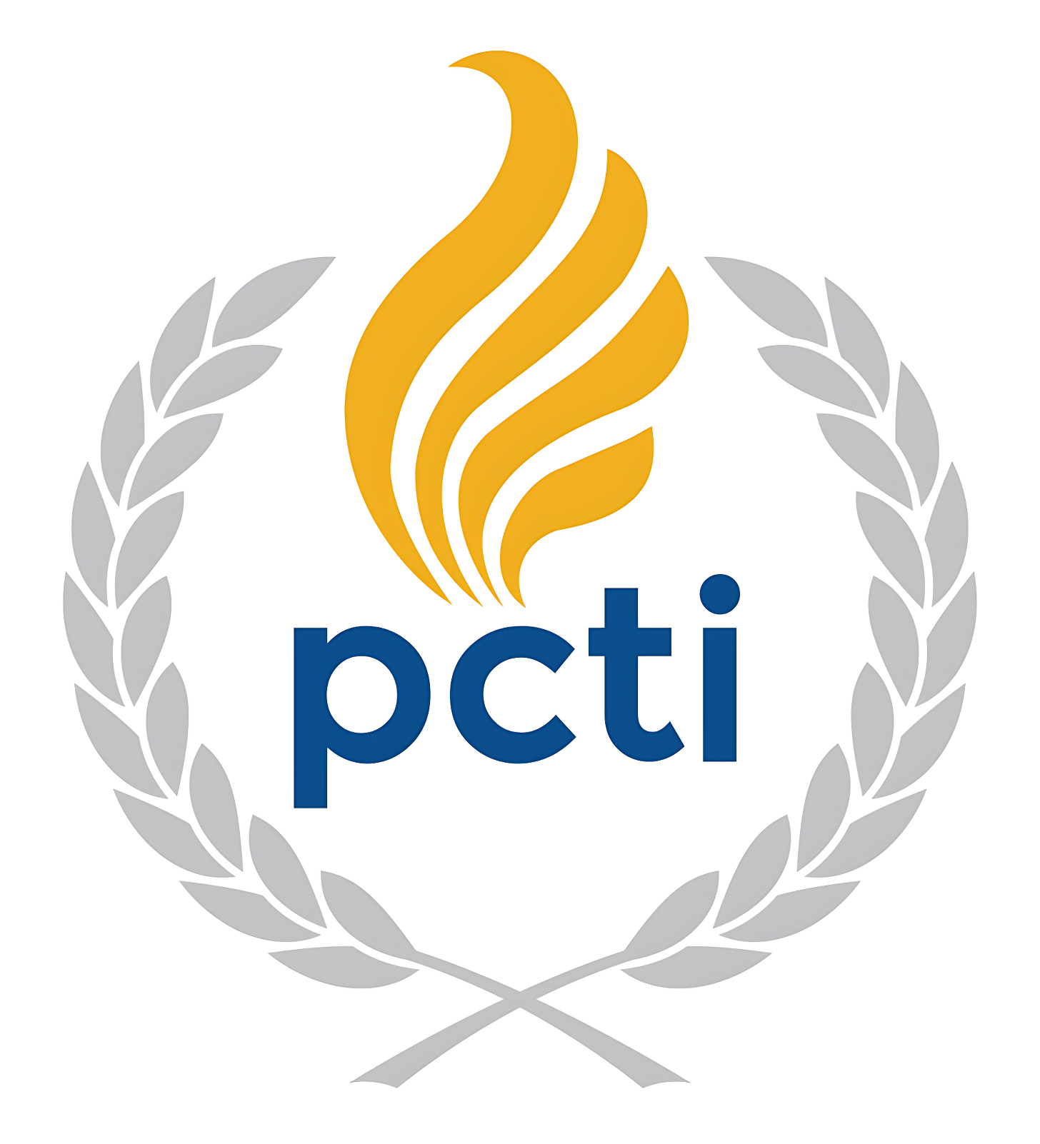 Professional Career Training Institute College Logo