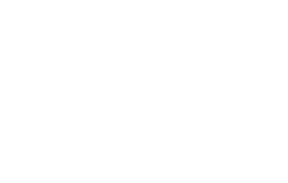 effi Logo