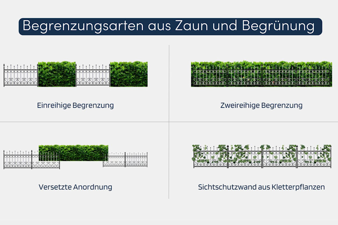 Zaun und Hecke kombiniert | Buildigo Blog