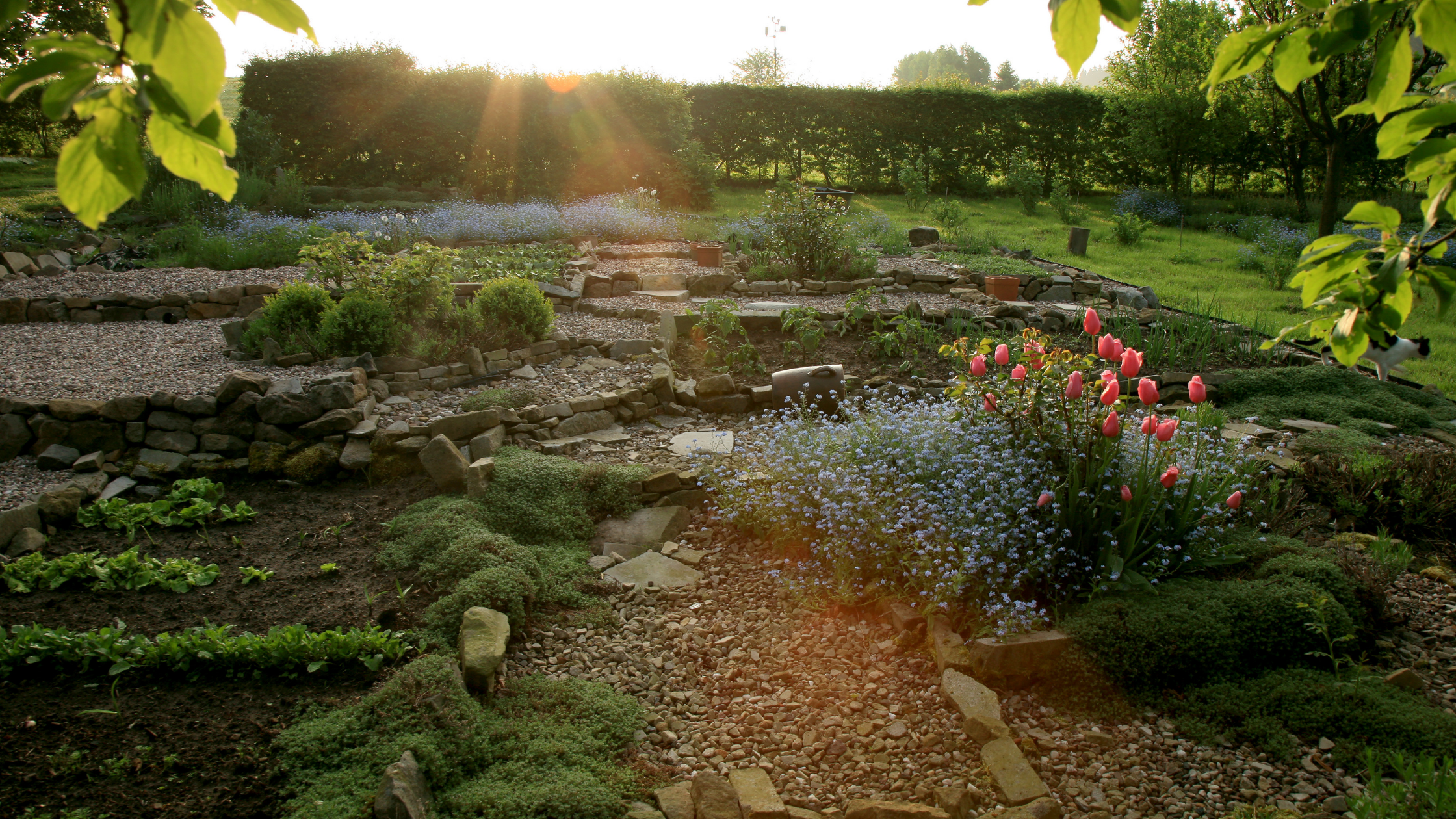 Permakultur Garten - So bringen Sie Permakultur in Ihren Garten