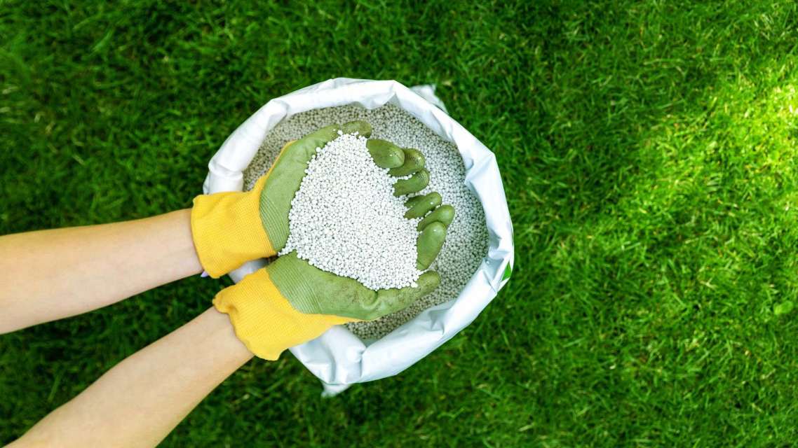 Rasenpflege im Frühling: Tipps & Tricks für einen grünen Rasen