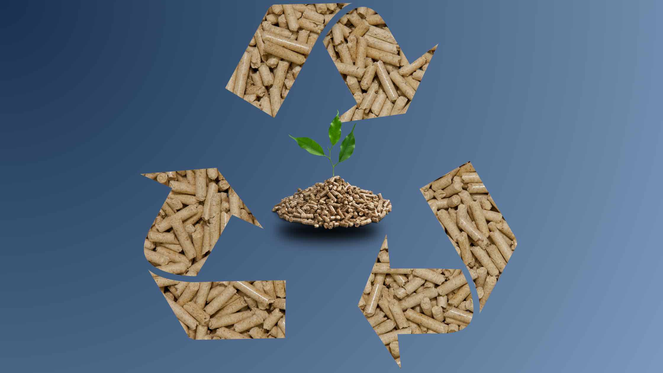 pelletsheizung kosten nachhaltig
