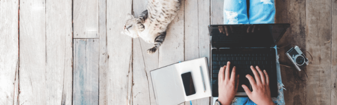 20 High Paying Careers for Those Who Love Animals | Snagajob