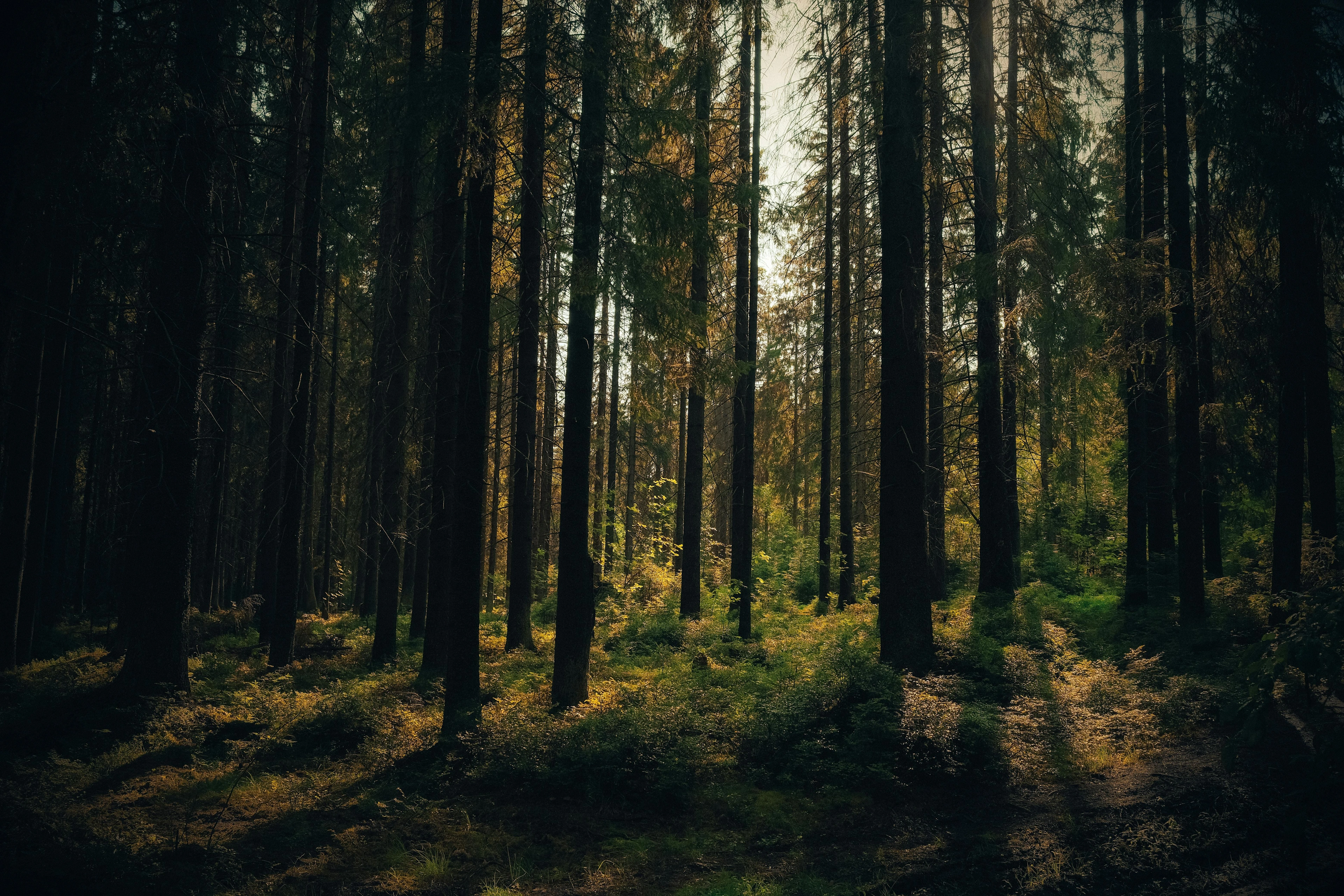 Kredit im Todesfall: Das sollten Sie als Angehöriger wissen