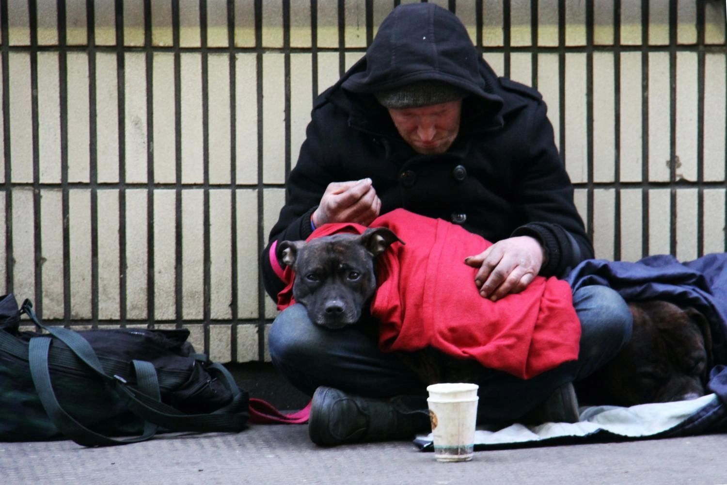 Projekt &quot;Kalte Schnauze&quot; – für weniger kalte Schnauzen auf der Straße