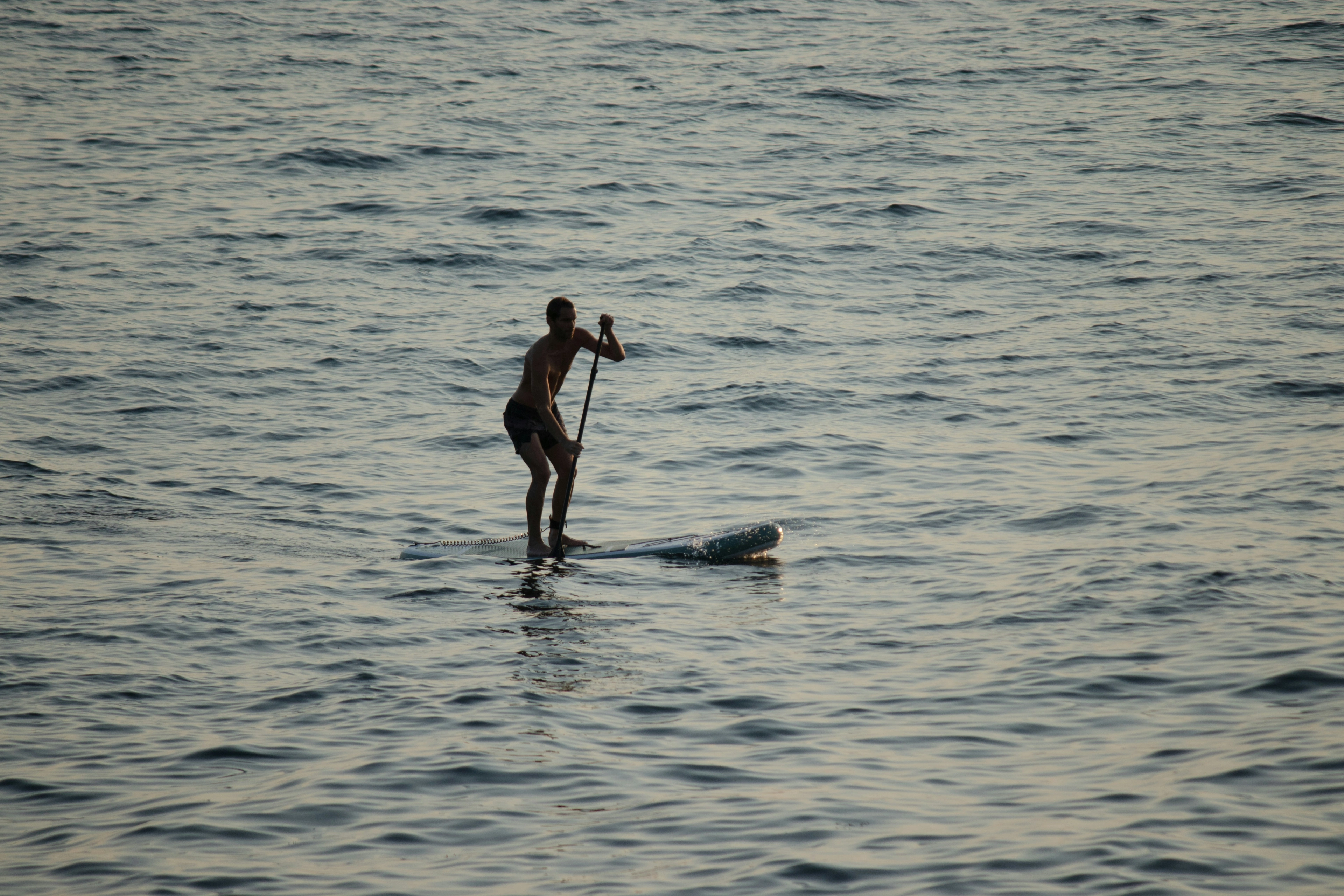 Stand Up Paddle Board