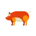 Pig Chinese Zodiac Animal Sign Icon