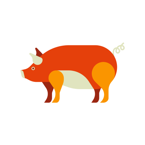 Pig Chinese Zodiac Animal Sign Icon