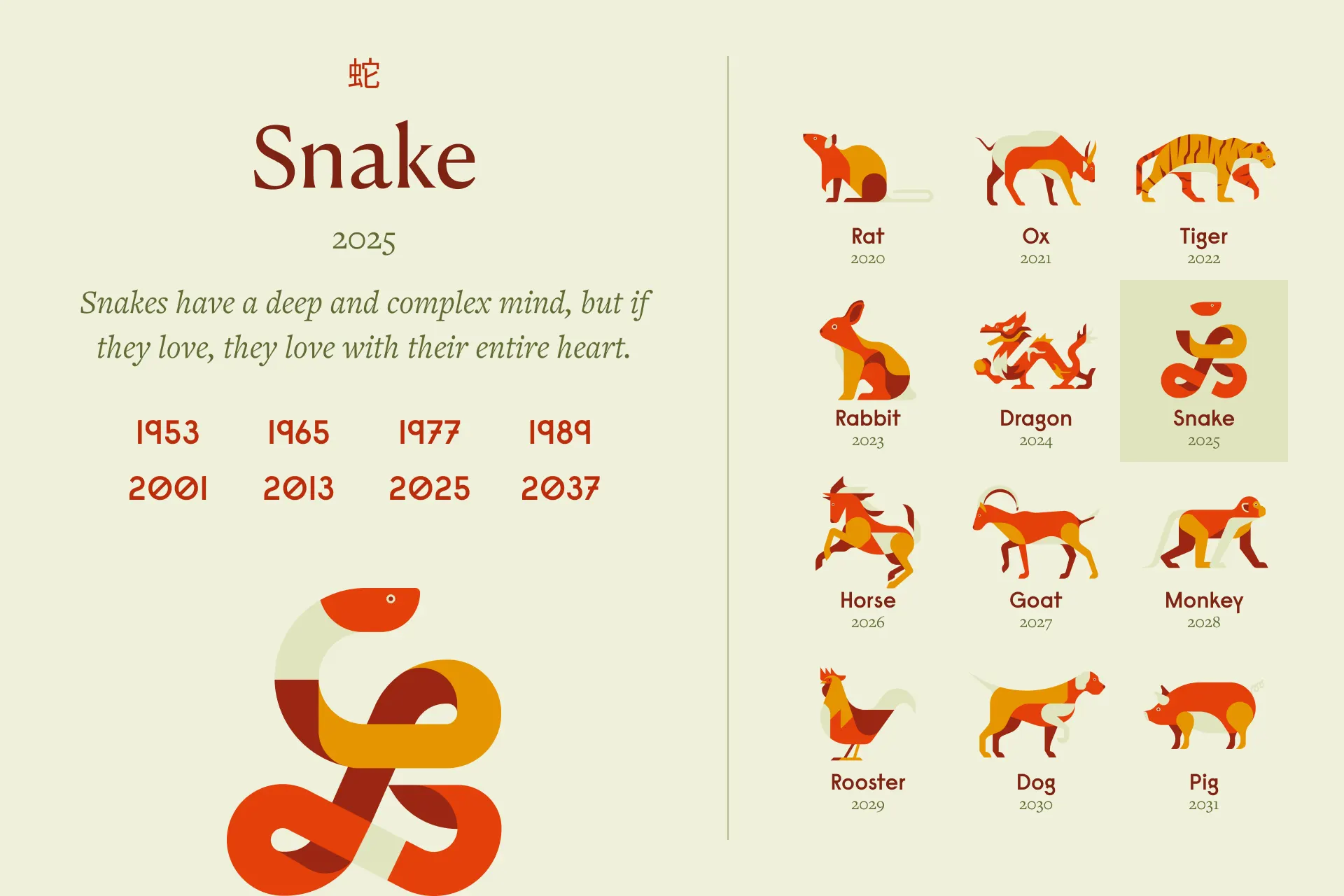 Snake Zodiac Sign: Years and Personality (Large)