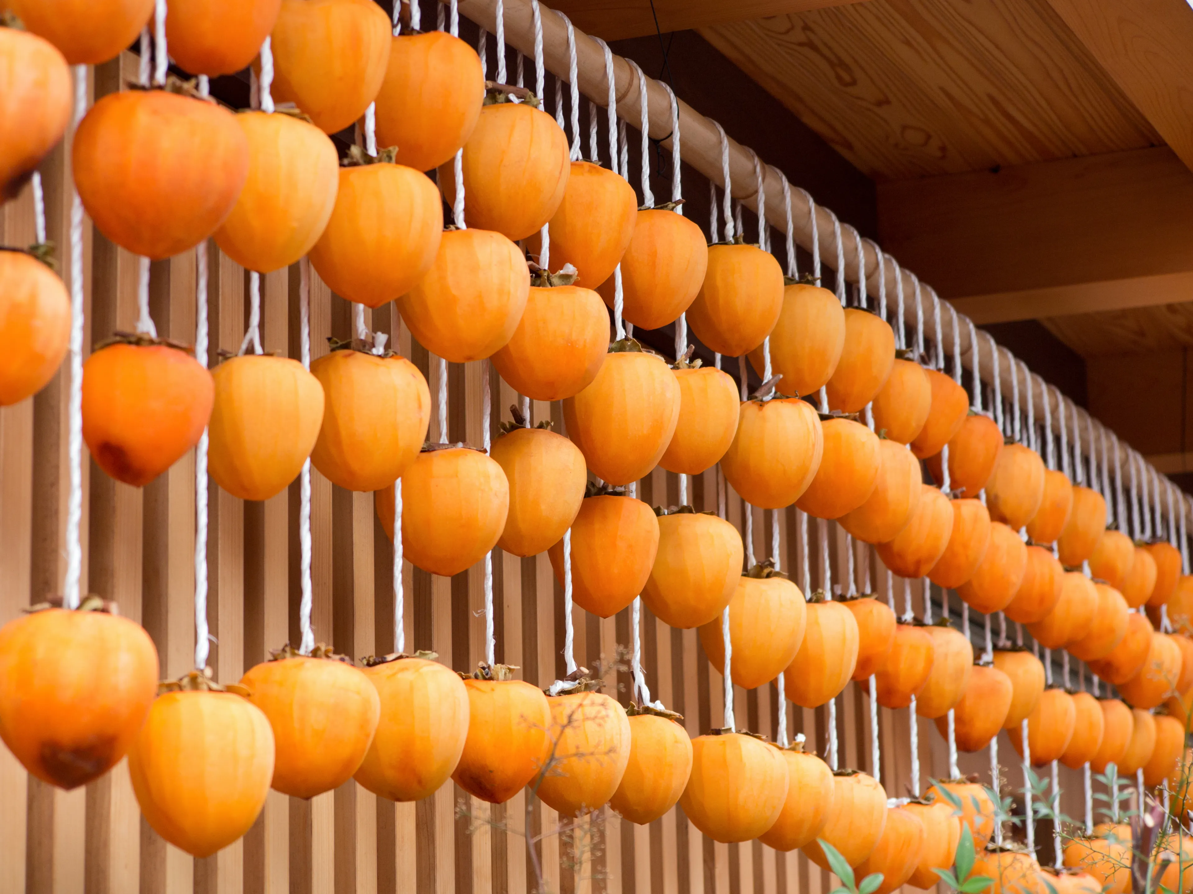 Chinese New Year Snacks Drying Persimmons