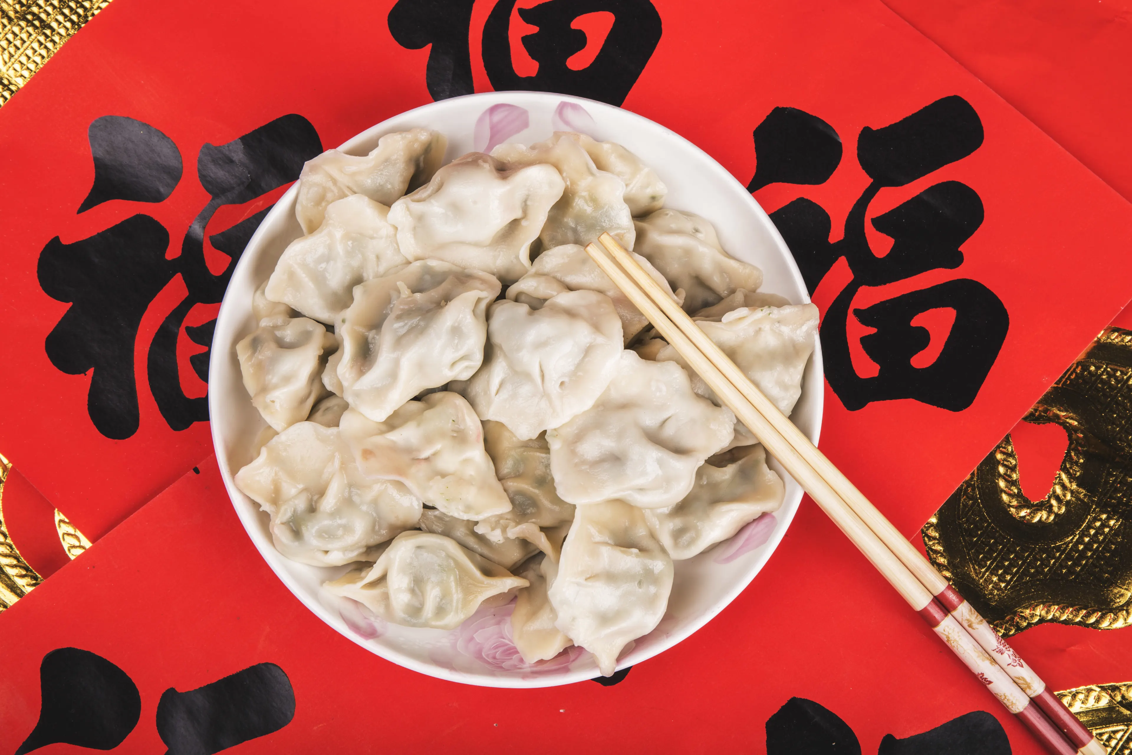 Chinese New Year Dumplings