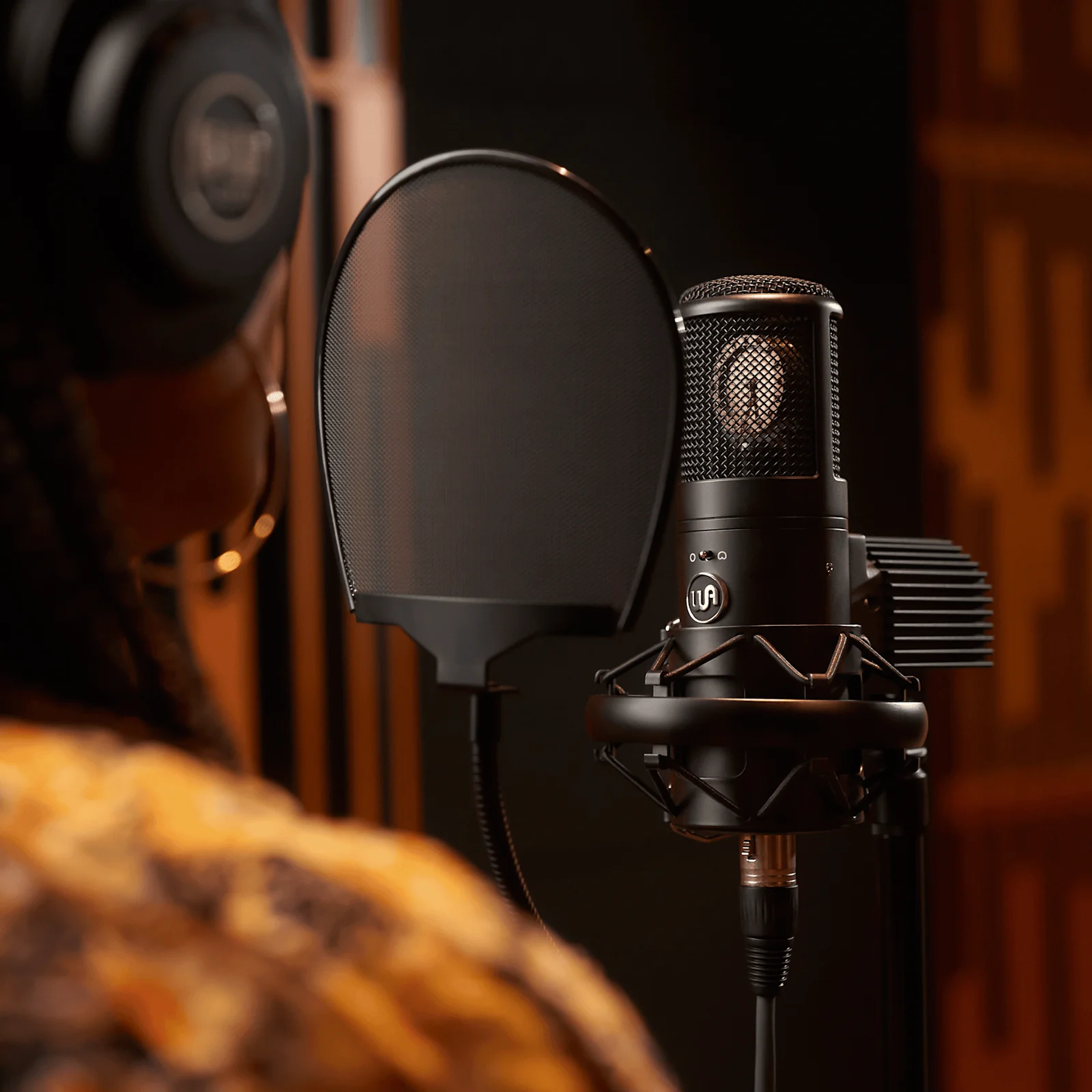 Warm Audio WA-8000 C800G Style Microphone
