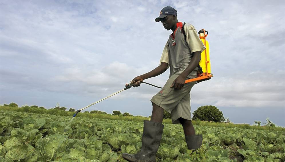 Effect of herbicides in relation to environment